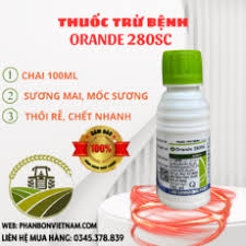 Anstrong plus 60OD