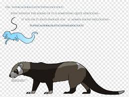 Maybe you would like to learn more about one of these? Koshka Zemnoe Zhivotnoe Mustelidy Multyashnyj Dikaya Priroda Kot Mlekopitayushee Zhivotnye Koshka Png Pngwing