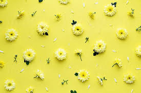 Choose from a curated selection of yellow wallpapers for your mobile and desktop screens. 25 Aesthetic Yellow Laptop Backgrounds Ideas Laptop Backgrounds Laptop Wallpaper Desktop Wallpapers Laptop Wallpaper