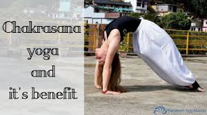 Chakrasana Wheel Pose Steps Benefits And Precautions How To Relieve Stress Surya Namaskar Fitness Experts