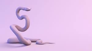 夢占い】蛇に噛まれる夢の意味を状況別に解説 | C CHANNEL