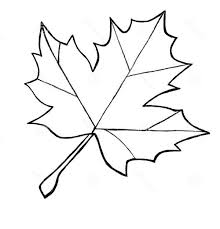 You might also be interested in. Pin On Fall Harvest