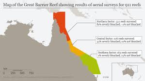 Being the world's largest structure made up of billions of living coral polyps. Great Barrier Reef Reports Of My Death Are Greatly Exaggerated Environment All Topics From Climate Change To Conservation Dw 18 10 2016