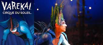 Cirque Du Soleil Varekai Wells Fargo Center