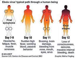Viral hemorrhagic fevers are spread by contact with infected animals or insects. Ebola Virus Disease Pictures Symptoms Victims And Relief Work Enkivillage