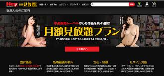 Hey動画月額見放題プランの詳細
