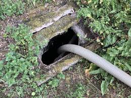 Hochzeitstag An Der Klargrube Vorgarten Klargrube Hochzeitstag Und Grubchen