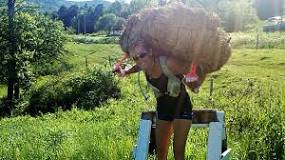 Image result