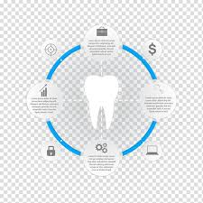 Tooth Chart Information Dentistry Creative Teeth Chart