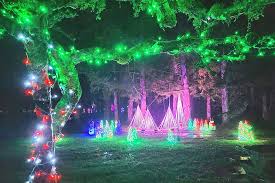 VIDEO: Christmas in Langley's Williams Park returns