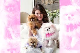 Used once for live cooking show. Lisa Vanderpump Pet Names Giggy Harrison Schnooky Binky The Daily Dish