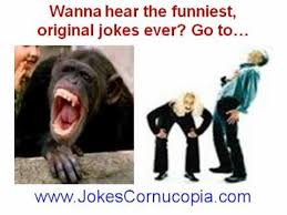 Free dirty knock knock jokes. Lol Best Joke Funny Dirty Blonde Rude Momma Knock Knock Jokes And More Hilarious Lmao Youtube