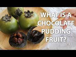 Looks like a tomato of medium size which is brown inside and dark green from outside. Black Sapote Fruit Tastes Like Chocolate Pudding Fruits You Probably Never Heard Of Ep 3 Youtube