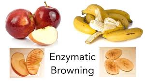 However, there are several natural ingredients you can use together to prevent your fruit from turning brown. Why Does Fruit Turn Brown Science Project