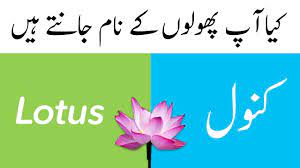 Maybe you would like to learn more about one of these? Flower Names In English And Urdu With Pictures Learn English Vocabulary Youtube