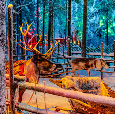 23 Best Christmas Getaways and Holiday Vacation Ideas 2023
