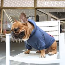 We have got some ideas for your kitchen remodel dark cabinets included for you to take a look at and get inspired. Ichoue Pet Clothes Dog Hoodie Hooded Full Zip Sweatshirt French Bulldog Pug Boston Terrier Cotton Winter Warm Coat Clothing Navy Size L Hoodies Clothing Accessories Psp Co Ir