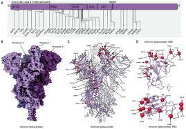 SARS-CoV-2 Omicron variant: Antibody evasion and cryo-EM structure of spike  protein–ACE2 complex | Science