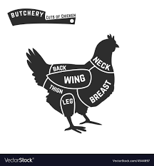 Cuts Of Chicken Butcher Diagram Vector Image