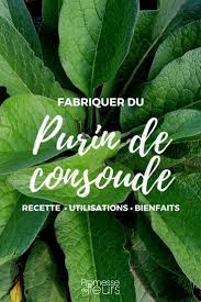 Epingle Sur Jardin