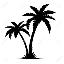 We did not find results for: Tropical Palm Trees Silhouettes Isolated On White Background Royalty Free Cliparts Vectors And Stock Illustration Image 82027907
