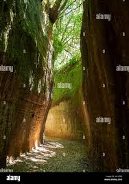 Etruscan cave hi-res stock photography and images - Alamy