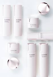 Malaysia's healthcare system was recently rated as the third best out of 24 countries in the american publication international living's 2014 global realising the growing demand of traditional chinese medicine in malaysia, managing director tan kai hee and his partners founded the company in 1994. Kanebo Cosmetics Unveils Major New Brand Launch