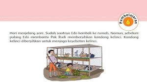 Contoh kata kunci pada paragraf. Tentukan Ide Pokok Dari Masing Masing Paragraf Bacaan Gerak Kupu Kupu Tribun Padang