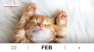 Check spelling or type a new query. 22 à¸ à¸¡à¸ à¸²à¸ž à¸™à¸˜ à¸§ à¸™à¹à¸« à¸‡à¹à¸¡à¸§à¹€à¸«à¸¡ à¸¢à¸§ The Standard