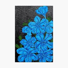 Bouquets are made from blue jasmine, hydrangea, forget me not and rose bush illustrations. Night Blooming Jasmine Gifts Merchandise Redbubble