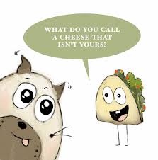 What's the difference between being hungry and horny? Funny Clean Taco Jokes For Kids Weird World