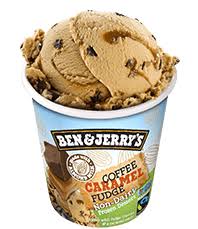Did you know ben and jerry's received a petition with over 23k signatures to create a non dairy ice cream line? Ben Jerry S Non Dairy Pints