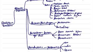Penulis gan wan yeat nor azlina binti abd. Biologi Bab 9 Bahagian 1 Pengenalan Kepada Ekosistem Terancam Spm Tingkatan 4 Youtube