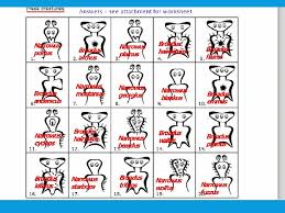 Identify the collection of items using the dichotomous key below and the photo key worksheet, where you will also be able to record your answers, on the next page. Classification Of Living Things Why Do We Classify