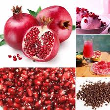 Click on image to see bonsaioutlet.com current prices for this tree. Rare Giant Pomegranate Plants For Home Plant Bonsai Tree Delicious Fruit Plants Pomegranate Lazada Ph