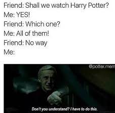 Pin By Micaela On Fandom Harry Potter Memes Harry Potter Puns Harry Potter Memes Hilarious