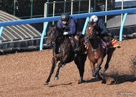 /ijaopi/ → /ijaofi/ → */jaofi/ → /jajofi/ → /jajowi/ → /jajoi/. Et0fiwhzdnubom