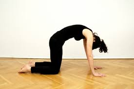 This is rückenübung by vitartic on vimeo, the home for high quality videos and the people who love them. Ruckenubungen Zuhause Fit Bleiben In Den Eigenen Vier Wanden Platinnetz