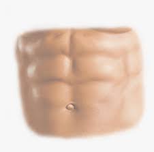 How to draw abs on yourself, how to photoshop abs make or add six pack on yourself or others. Six Pack Abs Png Transparent Png Is Free Transparent Png Image To Explore More Similar Hd Image On Pngitem Six Pack Abs Six Packs Six Pack Abs Men