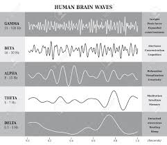 Human Brain Waves Diagram Chart Illustration In English