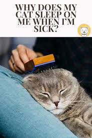 Why Does My Cat Sleep On Me When I M Sick Kitty Cats Blog Cat Sleeping Cats Cat Cuddle