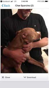 In honor of Ruth DeLucia (Kelly) please make a memorial contribution to  SPCA via online or by mail . Address is 300 Harlem Road West Seneca 14224  Online option ..yourspca.org Be sure