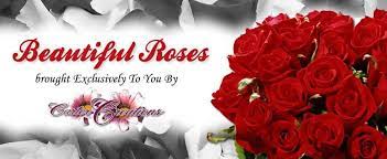 Carter Creations Florist In Milwaukee Wi Flower Delivery Milwaukee Wi Flower Delivery Valentines Flowers Florist