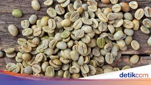 Sebelum kamu kepo dengan khasiat kopi robusta untuk kesehatan, setidaknya kamu tahu sedikit tentang apa itu kopi robusta. Ini Cara Minum Kopi Hijau Untuk Menurunkan Berat Badan