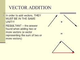 Unit 2two dimensional motion and vectors. Two Dimensional Motion And Vectors Worksheet Answers Worksheet List