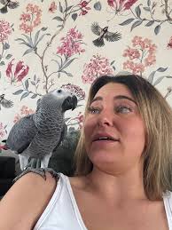 This bird is our whole world!