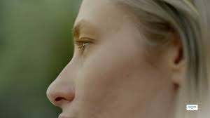 Dietary Supplements Navigating FDA Inspections A Guide for Supplement  Manufacturers