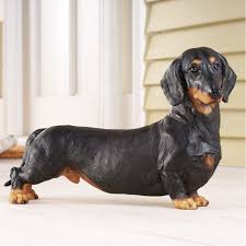 Bringing home a new puppy is a wonderful experience involving the whole family, which is why we. Dachshund Home Decor Dachshund Central Dog Statue Dachshund Dog Dachshund