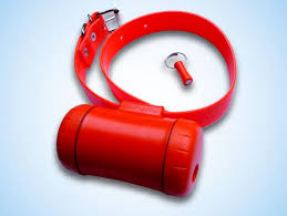 Beeper 2000 Xp Beeper Collar Beeper