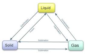 Assessment Grade 4 Students Will Create A Flow Chart